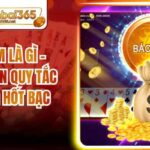 Báo Sâm Là Gì - Hướng Dẫn Quy Tắc Xin Làng Hốt Bạc