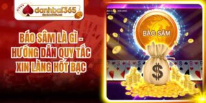 Báo Sâm Là Gì - Hướng Dẫn Quy Tắc Xin Làng Hốt Bạc