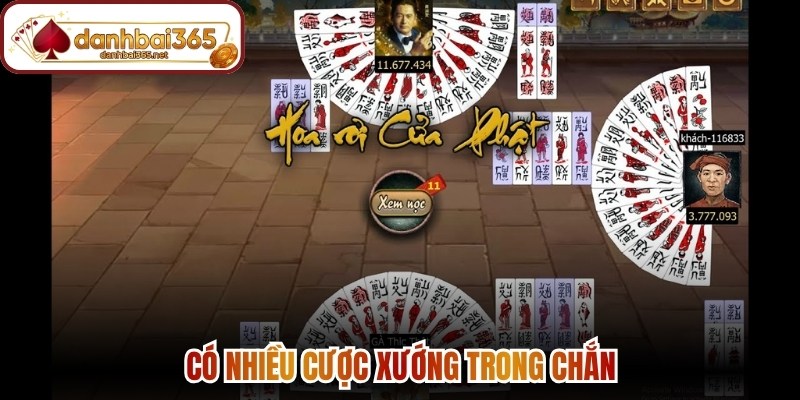 Có nhiều cược xướng trong chắn
