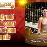 Các Thuật Ngữ Trong Baccarat Cần Biết Để Chơi Chuẩn Xác