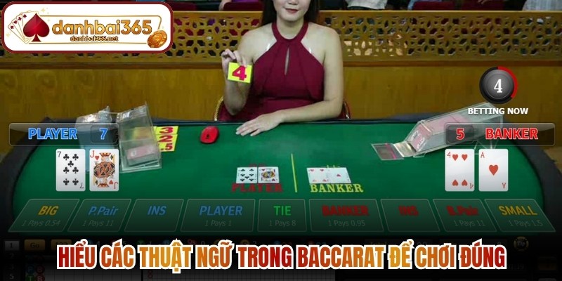 Hiểu các thuật ngữ trong Baccarat để chơi đúng