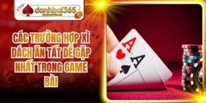Các Trường Hợp Xì Dách Ăn Tất Dễ Gặp Nhất Trong Game Bài