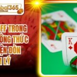 Cách Bluff Trong Poker - Công Thức Thực Hiện Đòn Tâm Lý