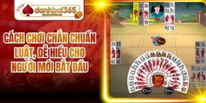 Cách Chơi Chắn Chuẩn Luật, Dễ Hiểu Cho Người Mới Bắt Đầu