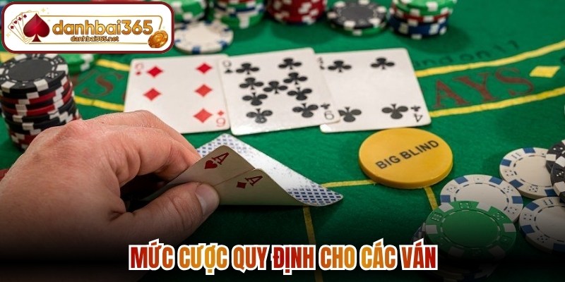 Mức cược quy định cho các ván