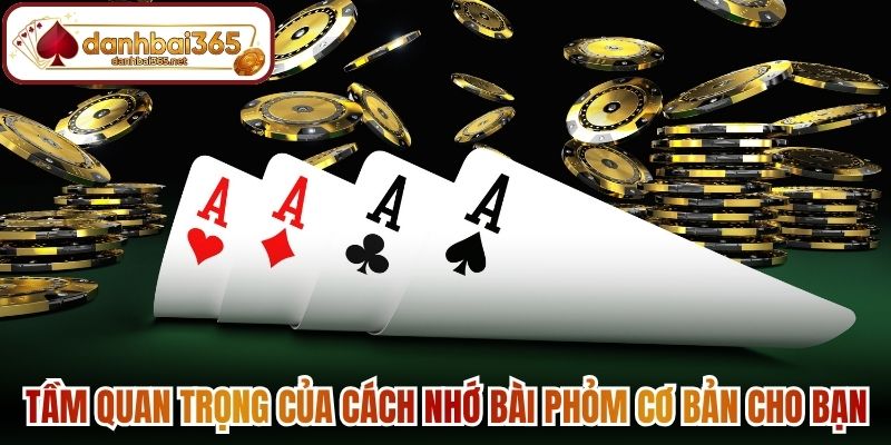 Tầm quan trọng của cách nhớ bài phỏm cơ bản cho bạn mới