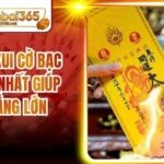 Cách Xả Xui Cờ Bạc Hiệu Quả Nhất Giúp Bạn Thắng Lớn