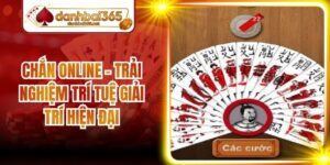 Chắn Online – Trải Nghiệm Trí Tuệ Giải Trí Hiện Đại