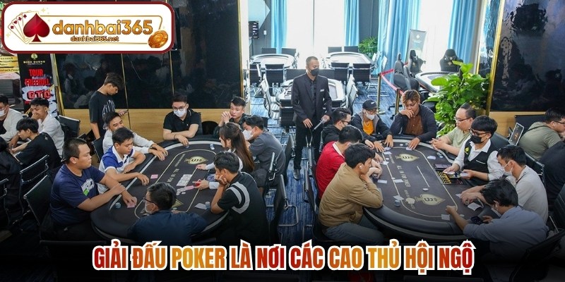 Giải đấu Poker là nơi các cao thủ hội ngộ