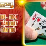 Liêng Offline - Trọn Bộ Hướng Dẫn Luật Chơi Cho Tân Thủ