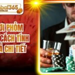 Luật Chơi Phỏm Chuẩn Và Cách Tính Điểm Tá Lả Chi Tiết