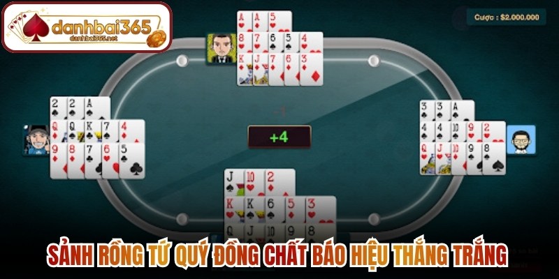 Sảnh rồng tứ quý đồng chất báo hiệu thắng trắng 