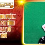Móm Trong Phỏm Là Gì? Cách Tính Điểm Phạt Từ Cao Thủ 4 Móm Trong Phỏm Là Gì? Cách Tính Điểm Phạt Từ Cao Thủ