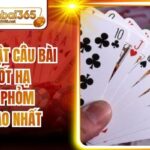 Nghệ Thuật Câu Bài Và Chốt Hạ Trong Phỏm Đỉnh Cao Nhất