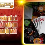 Phỏm Có Phải Tá Lả Không - Giải Mã Chi Tiết Cho Người Mới