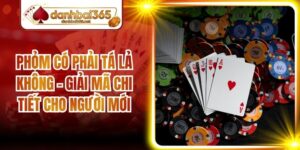Phỏm Có Phải Tá Lả Không - Giải Mã Chi Tiết Cho Người Mới
