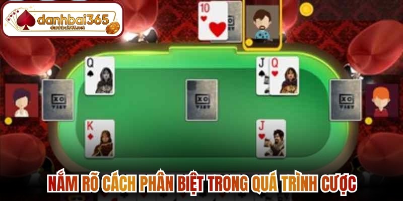 Nắm rõ cách phân biệt trong quá trình cược