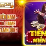 Tiến Lên Miền Nam - Top 4 Cổng Game Sát Phạt TLMN Đỉnh