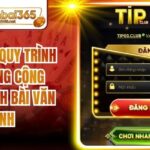 Tipclub - Quy Trình Xây Dựng Cộng Đồng Đánh Bài Văn Minh